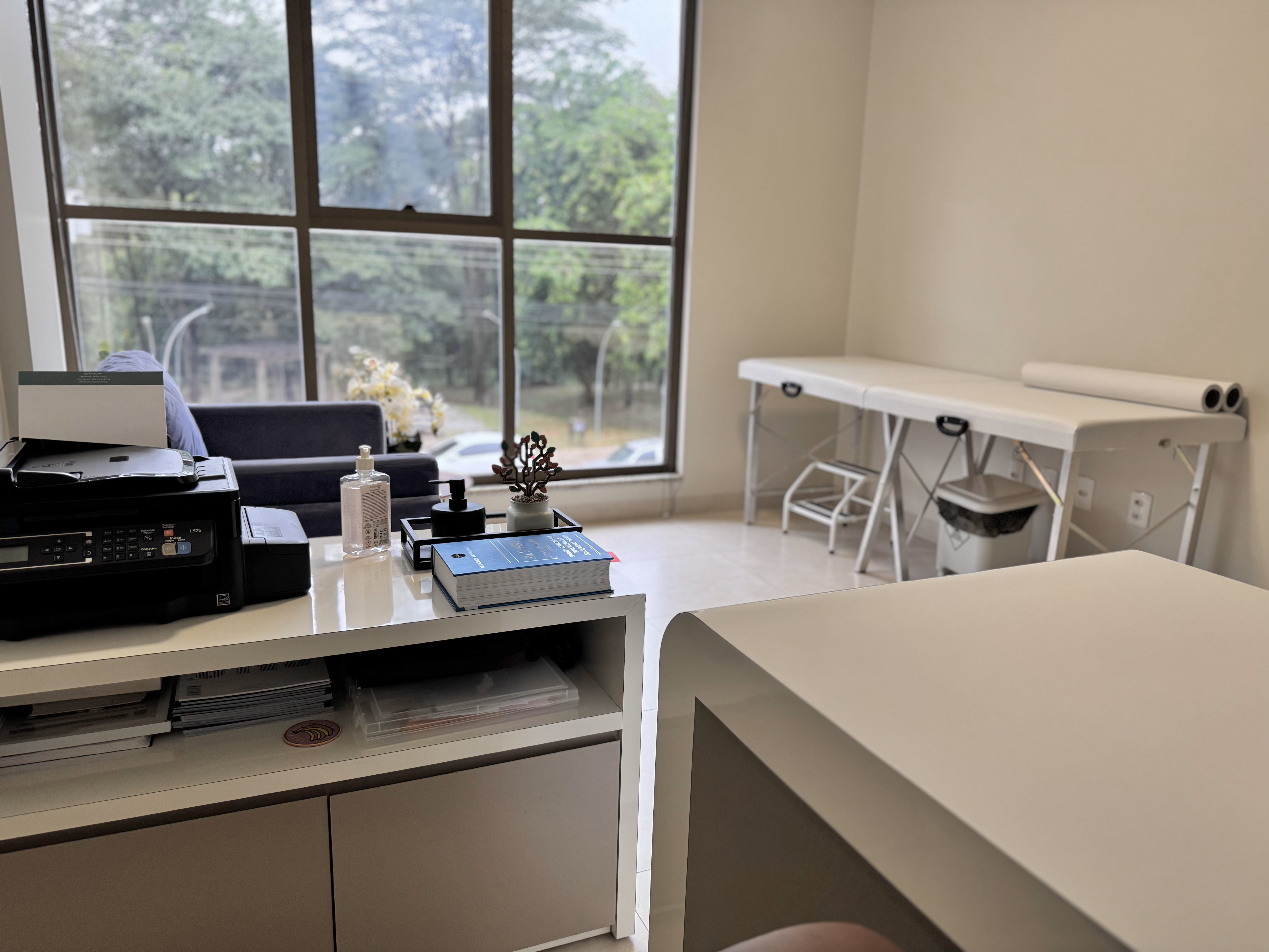 Conhecimento e História